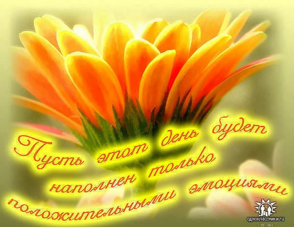 Доброго здравия. Солнечного дня и отличного настроения. яркого дня и хорошего настроения. хорошего дня и отличного настроения. пожелания доброго дня.