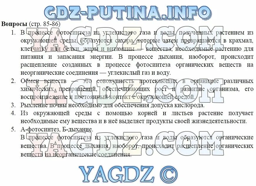 Вопросы по биологии 6 класс. Биология 6 класс Пономарева. Гдз по биологии 6 класс Пономарева. Вопросы по биологии 6 класс из учебника.