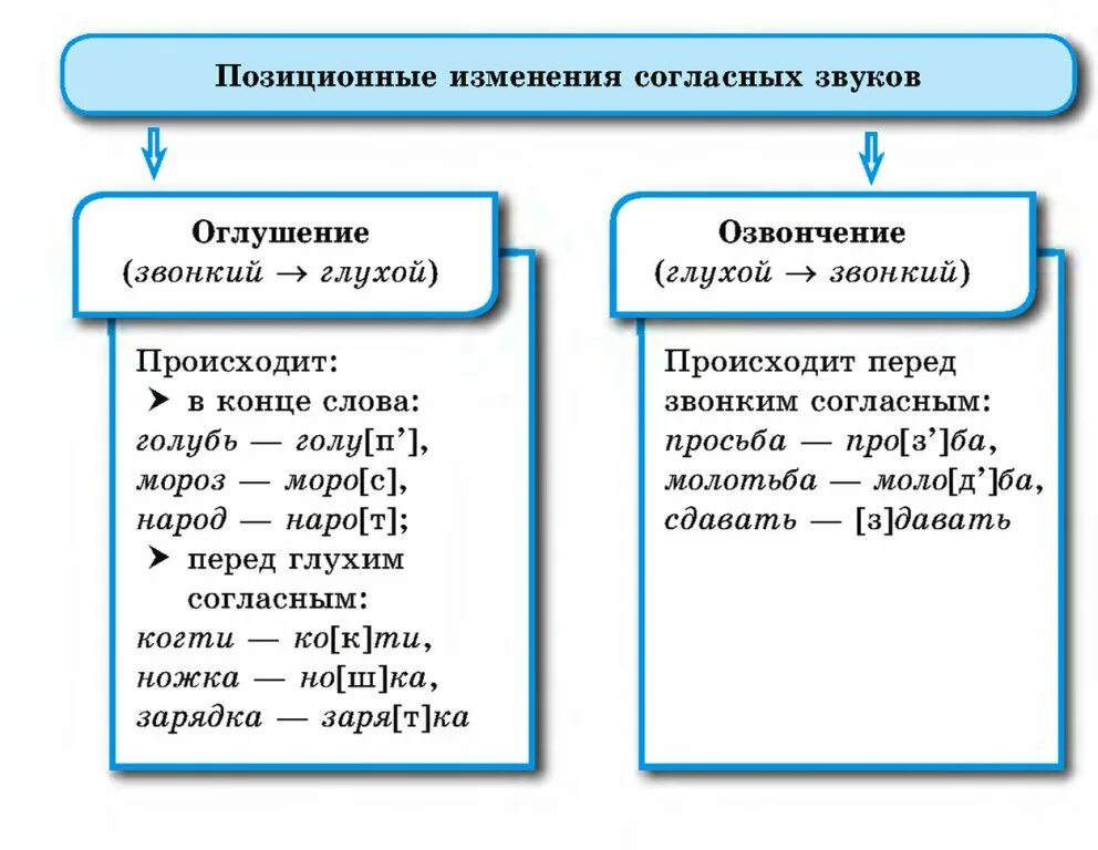 Случаи изменения согласных. Оглушение согласного звука примеры. позиционные изменения согласных звуков. позиционные изменения согласных примеры. озвончение согласного звука примеры.