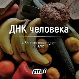 Днк банана