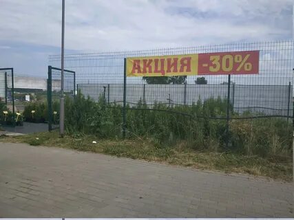 Садовый центр отзывы