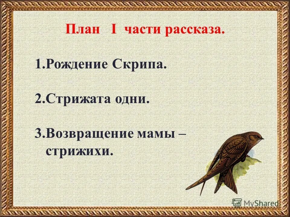 план 4 класс стрижонок стриж. стрижонок скрип иллюстрации к рассказу астафьева. почему стрижата остались одни. стрижонок стриж.