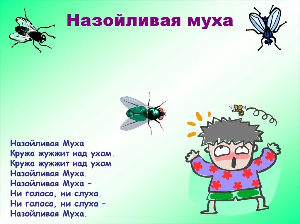 Смешные стихи про муху. Надоедливая муха. Надоедливая муха. Мухи стоп. Назойливая муха.