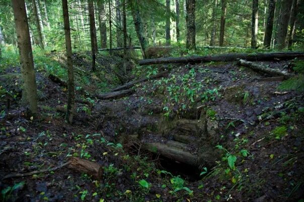 Блиндаж боевиков в чечне в лесу. Блиндаж боевиков. Блиндаж боевиков в дагестан. Блиндаж боевиков. Блиндаж боевиков.
