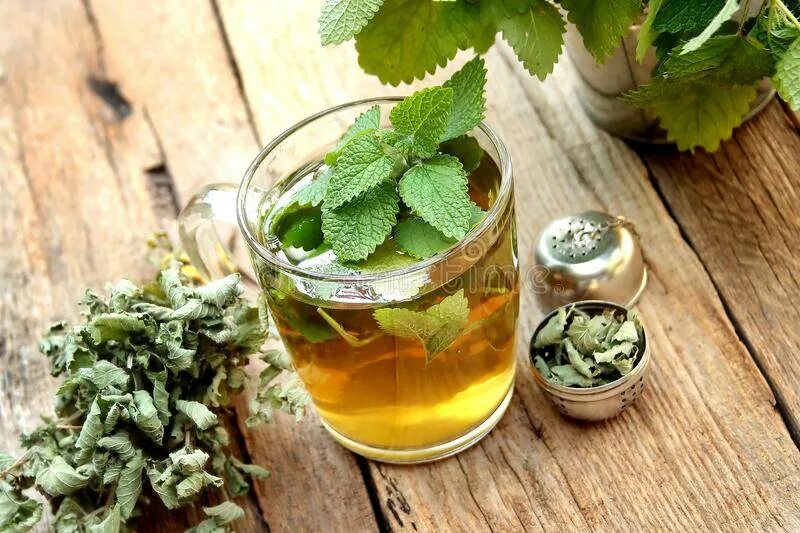 Пить чай с мелиссой. Травяной чай Мелиса мята. Мята Мохито растение. Чай с мятой.