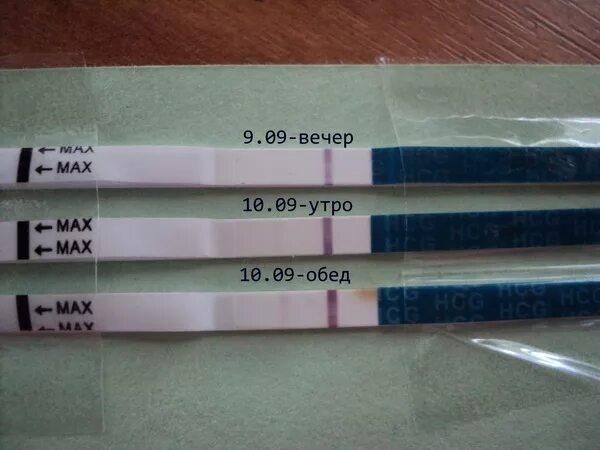 Почему не делают тесты. Положительный тест на беременность. Тест на беременность утром. Тест на беременность утром и вечером. Отрицательный тест.