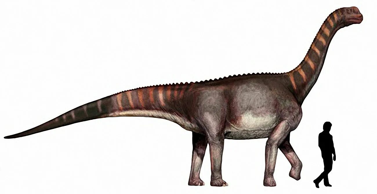 Пситтакозавр сибирский андрей атучин. Сибиротитан фото. Андрей атучин динозавр. Сибиротитан фото. Самый большой динозавр в россии.