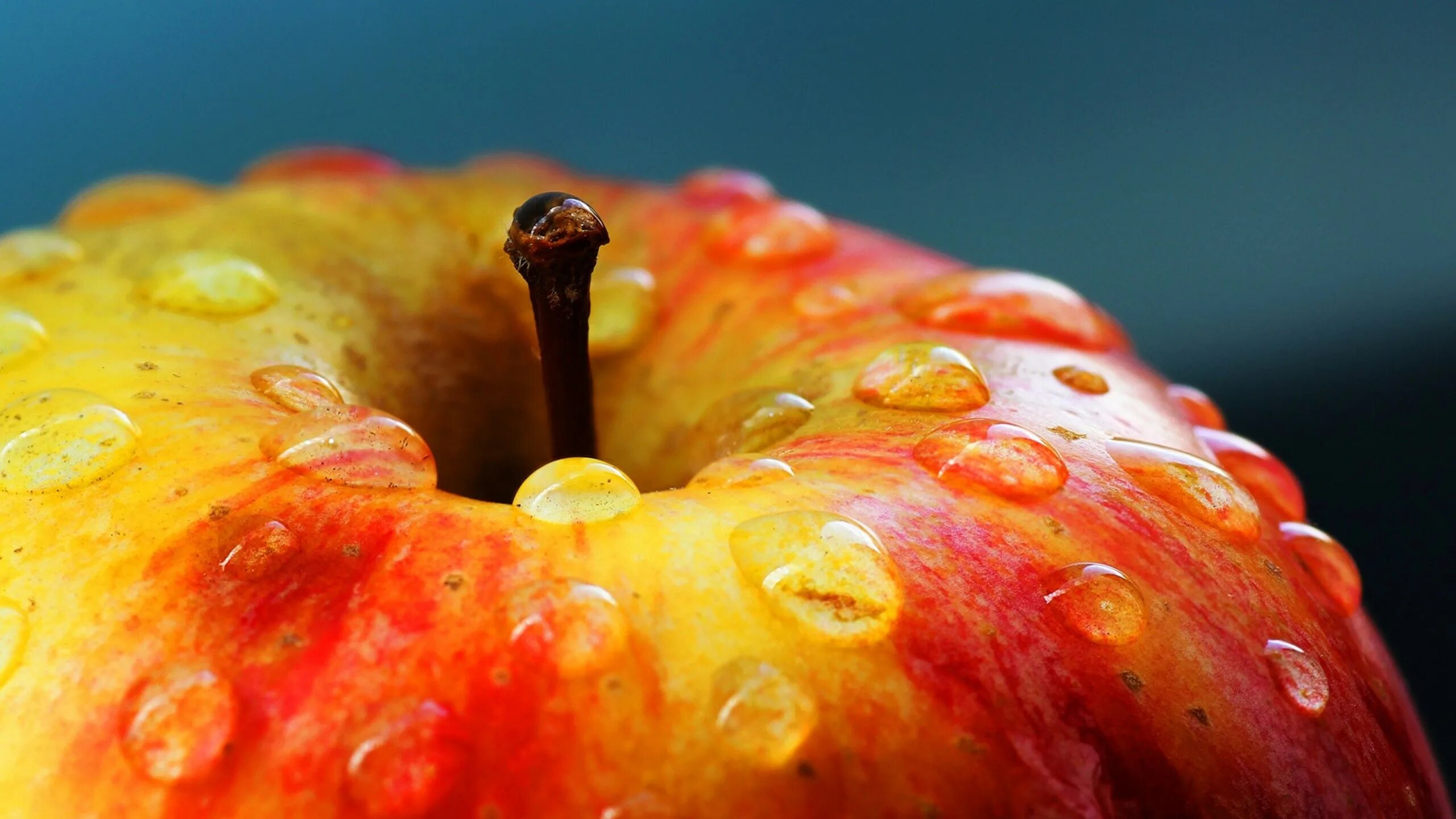 хорошего качества и с оригинальным. хорошего качества и с оригинальным. красивые картинки природы. оригинальные обои. хорошего качества и с оригинальным.