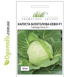 Пандион капуста отзывы
