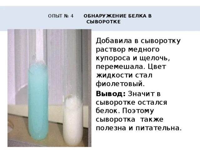 Медный купорос + раствор щелочи. Опыт обнаружение белка. Опыт раствором медного купороса. Обнаружение белка в молоке. Опыт с медным купоросом