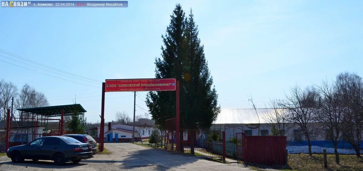 Погода в аликово на две недели