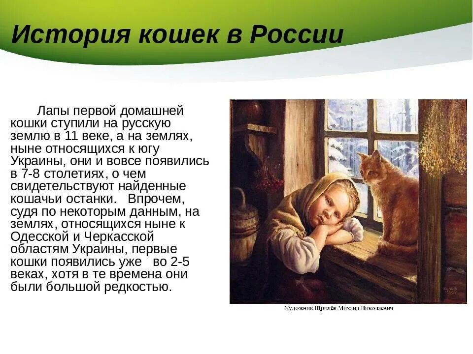 История появления кошек. Где впервые появились кошки. Откуда на Руси появились кошки. Кошка история происхождения для детей. Когда появились 1 кошки