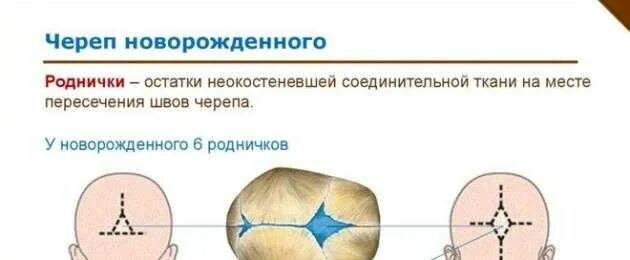 Когда заживает родничок. Темечко у ребенка сроки зарастания. Должен ли пульсировать Родничок у грудничка 2 месяцев. Родничок у ребенка в 1 месяц норма. Норма родничка у новорожденного.