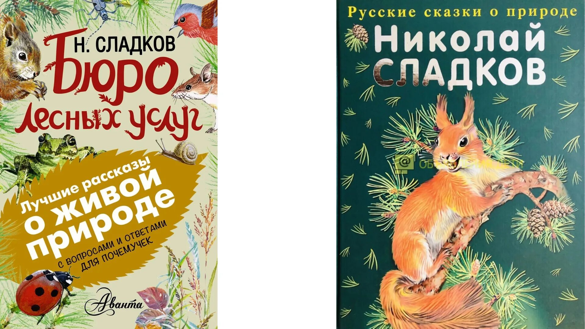 Н сладков рассказы читать. Н сладков рассказы читать