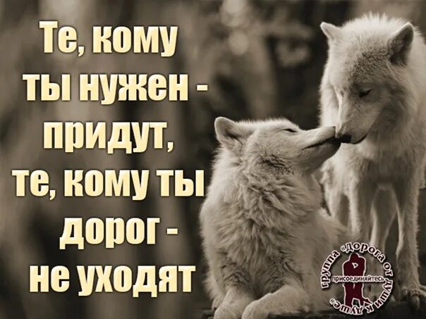Кому нужен тот напишет и позвонит. Кому же ты нужна. Ты мне нужен цитаты. Если человек хочет быть рядом он. Есть человек которому ты нужен.
