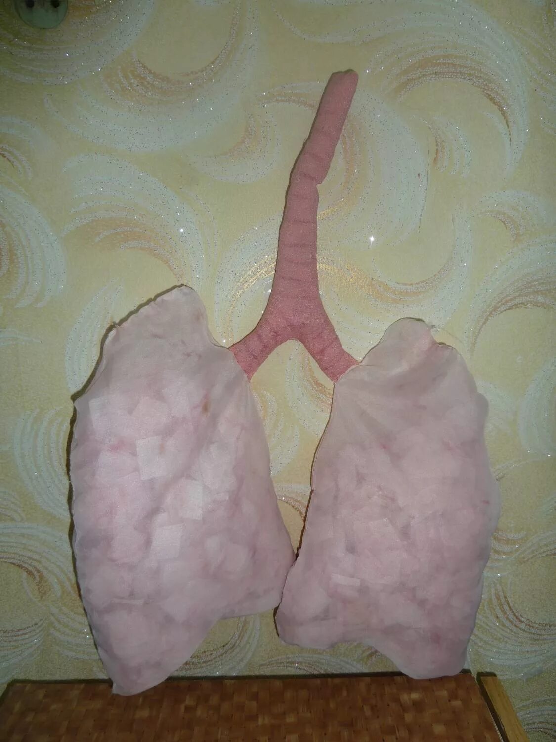 Как сделать макет легких. Муляж легкого. Макет легких человека своими руками. Макет легкого человека. Муляж легкого.