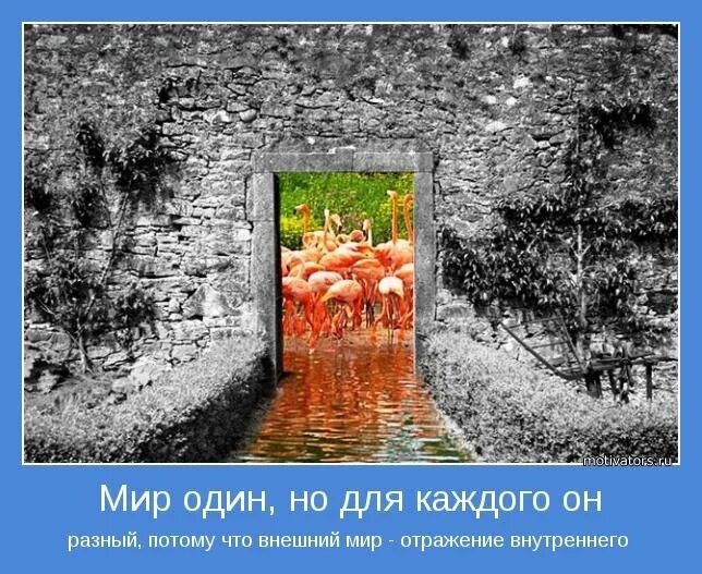 Мир плох без. Каждый видит свой мир по-своему. Каждый видит свое отражение. Внешний мир отражение внутреннего.