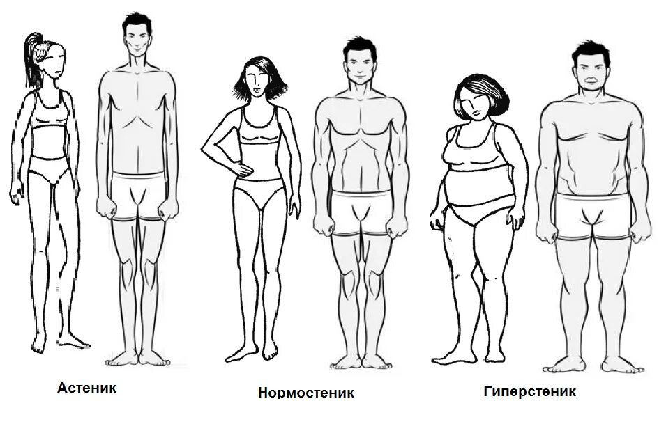 Фигура человека название. Астеник нормостеник гиперстеник женщины. Астеник нормостеник гиперстеник мужчины. Астеник нормостеник гиперстеник дети. Типы Конституции телосложения человека.