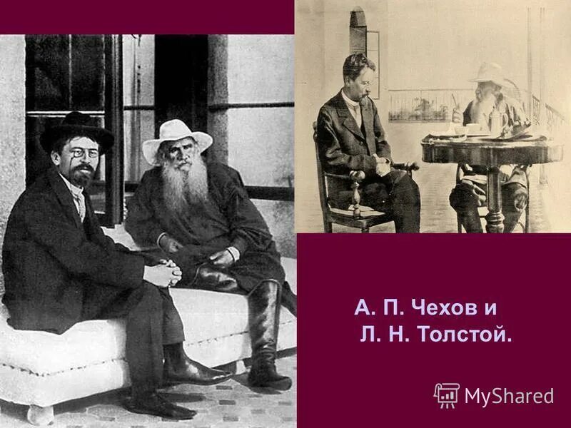 Чехов и толстой. Чехов Горький толстой. Толстой л. и Чехов а.. Чехов и толстой в Ялте. Антон Чехов и Лев толстой.