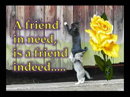 But he a friend
