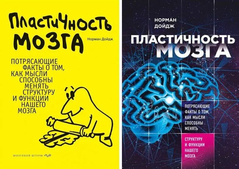 Нейропластичность мозга книга. Мозг пластичен