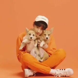 Kai cat