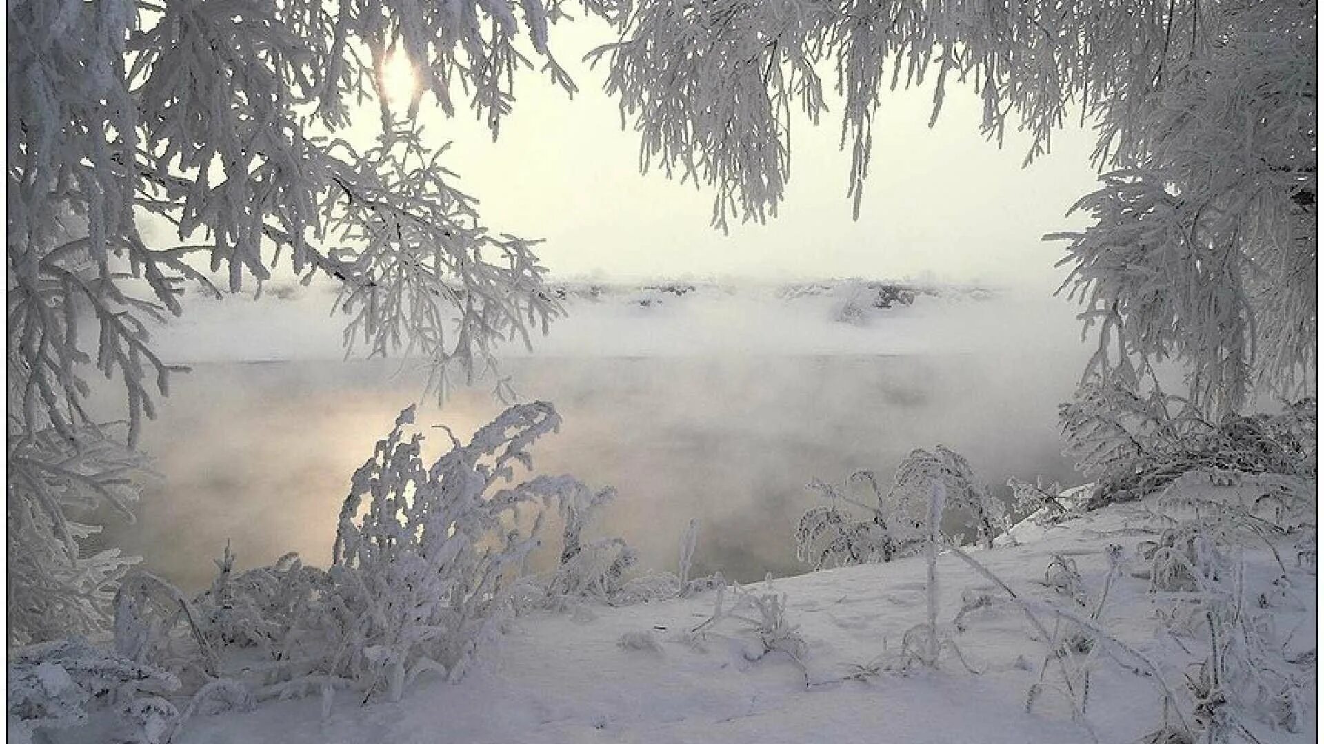Сильный утренний мороз. Морозная зима. Зима Пурга. Февральская метель. Февральский пейзаж.