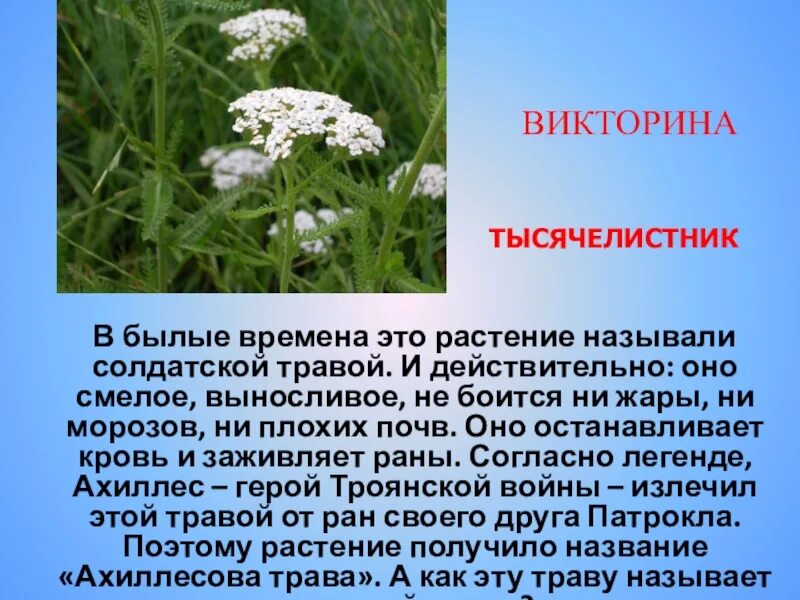 Почему какую траву