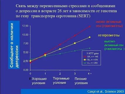 Между перенос