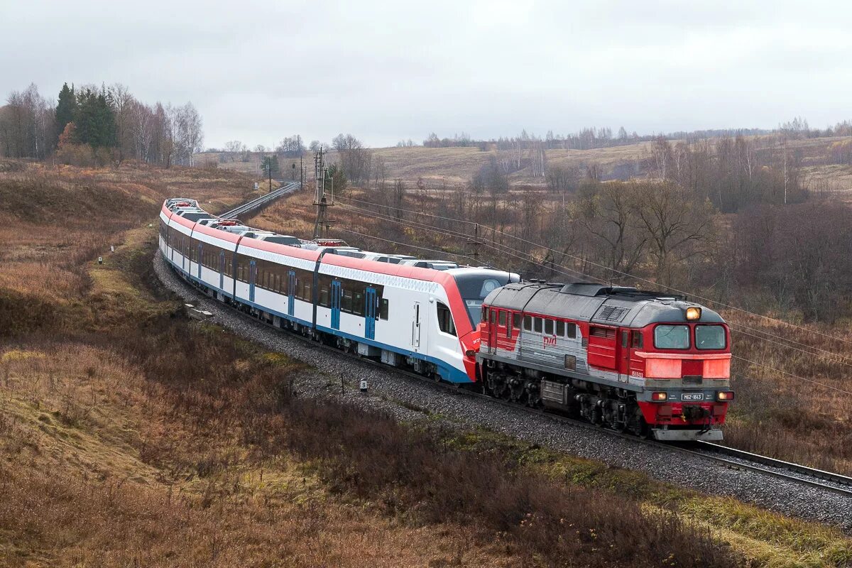 Электропоезд другой. Дм62-1843. М62 тепловоз. Электропоезд Иволга эг2тв. Тепловоз Сапсан.