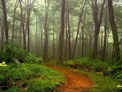 Only nature