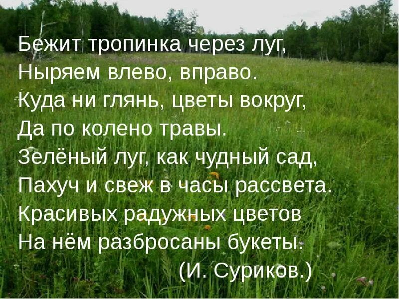 Зеленеющий луг предложение. Бежит тропинка через луг. зелёный луг стих. бежит тропинка через луг ныряет. бежит тропинка через луг ныряет влево.