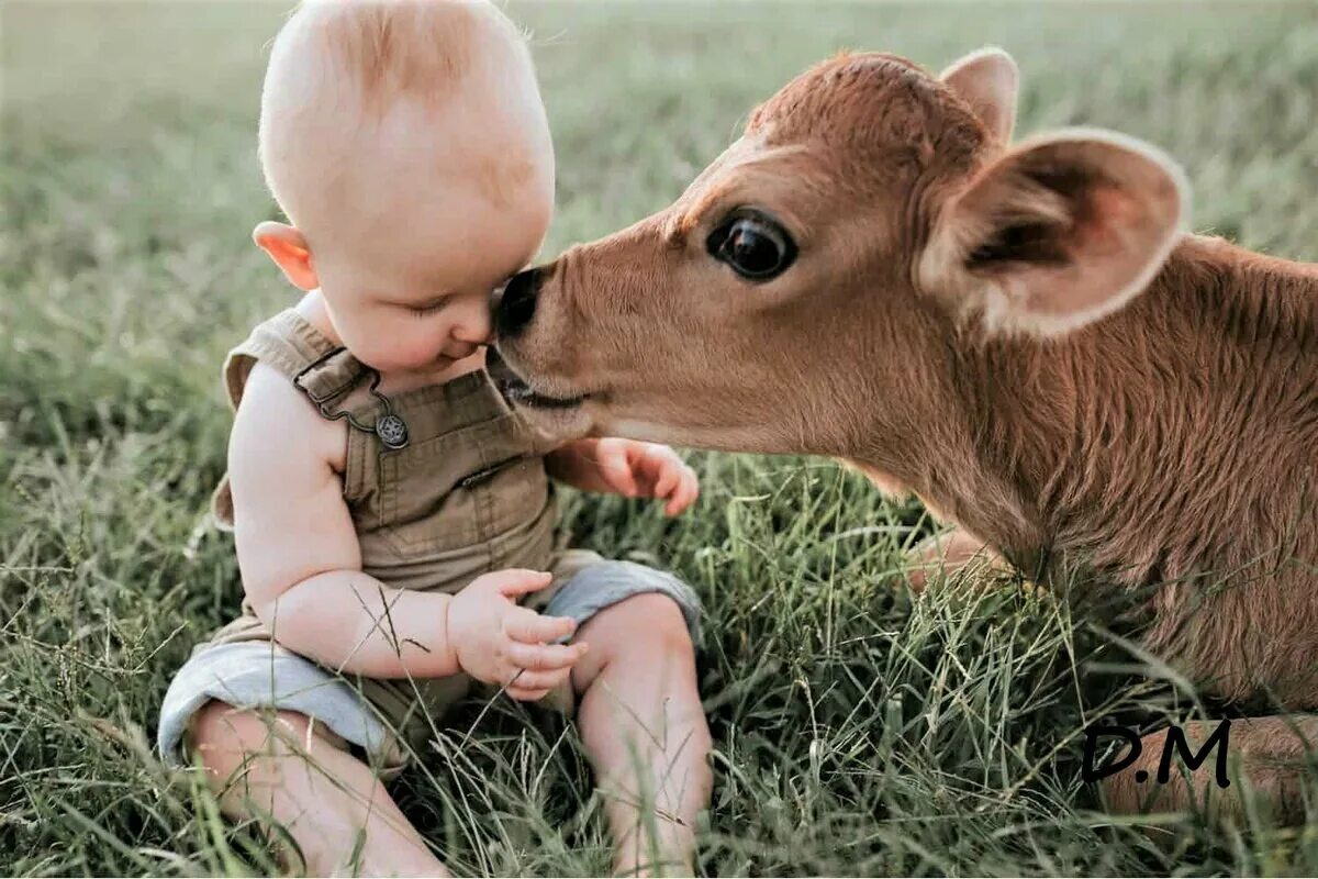 Малыш коровка. Дети с животными. Теленок для детей. Корова для детей. Милые коровы.