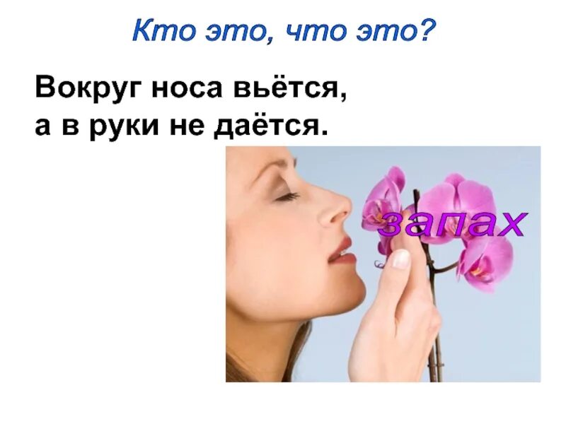 Последний звонок классный час. Около носа вьется. Около носа вьется. Загадка вокруг носа вьется а в руки не дается. Около носа вьется а в руки.