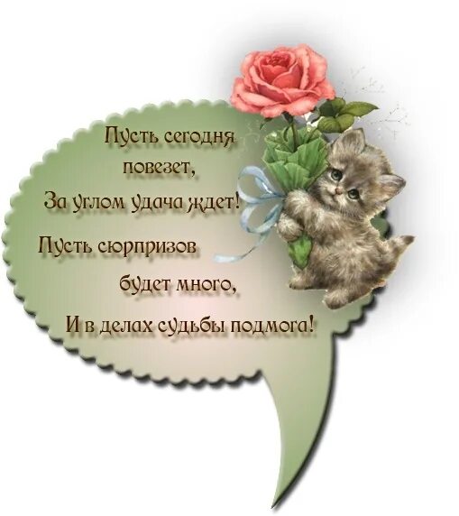 Какой бывает пусть
