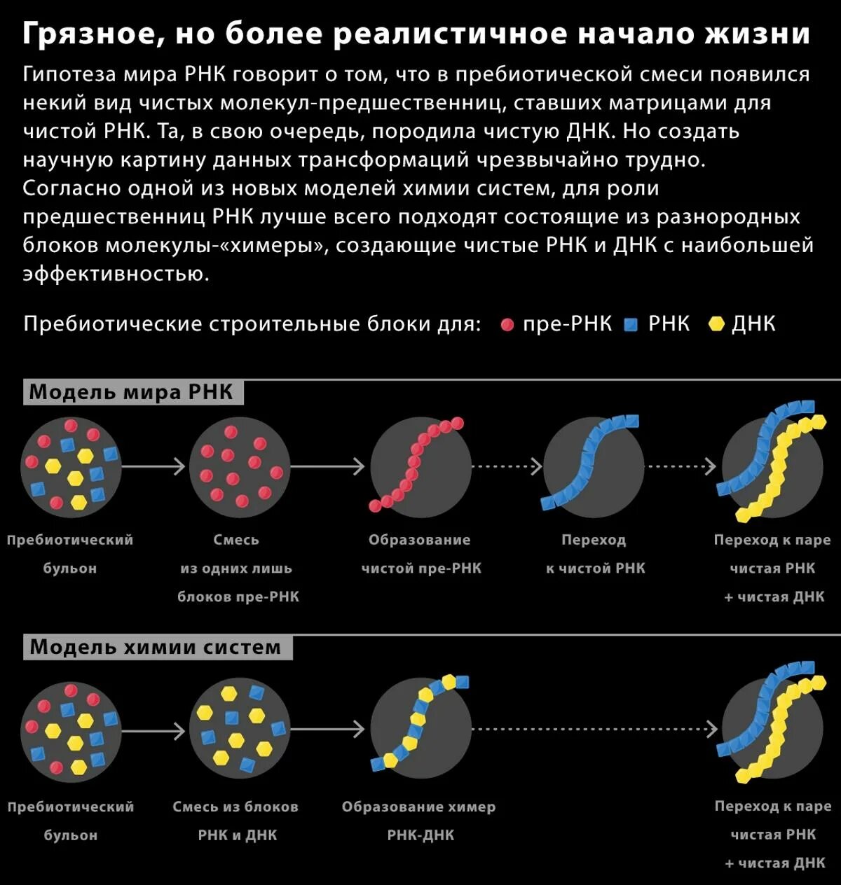 Теория мир РНК. Мир РНК теория происхождения жизни.