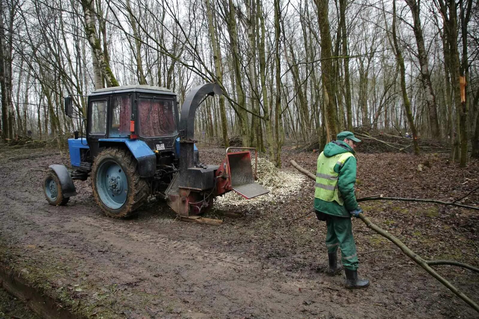 Зеленстрой партизанского. Зеленстрой партизанского