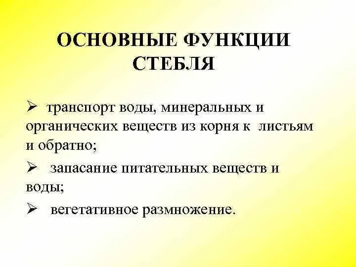 Стебель функции. Основные функции стебля. Какие основные функции стебля. Перечислите основные функции стебля растения. Каковы основные функции стебля 7 класс.