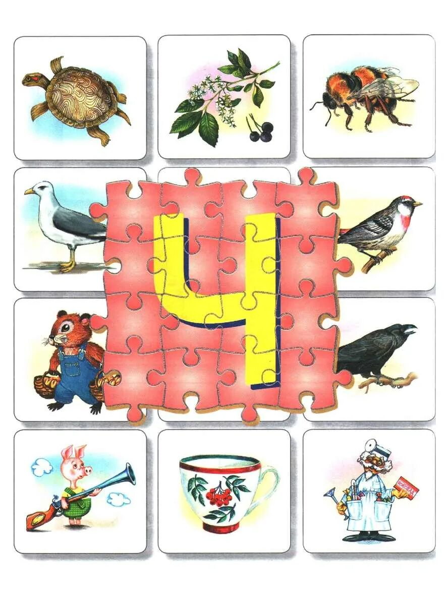 дифференциация ц щ. автоматизация ч щ в предложениях. задания на дифференциацию звуков ч-щ. дифференциация ч-т задания для дошкольников. дифференциация ц щ.