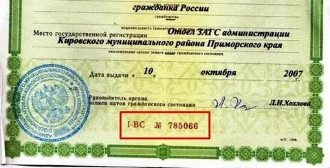 Как вводить серию и номер свидетельства