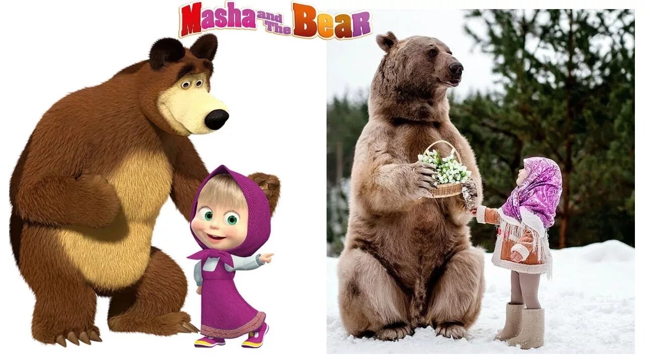 Маша and the Bear. Маша и медведь в реальной жизни. Настоящая Маша и медведь. Маша и медведь в жизни.