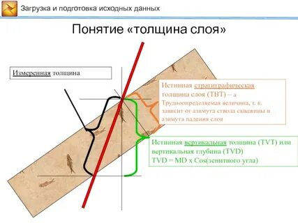 Горизонтальная толщина