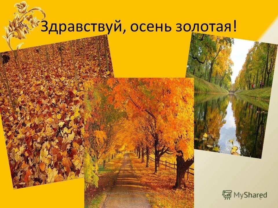 Классный час в октябре. Здравствуй осень золотая. классный час осень. презентация осень. золотая осень презентация.