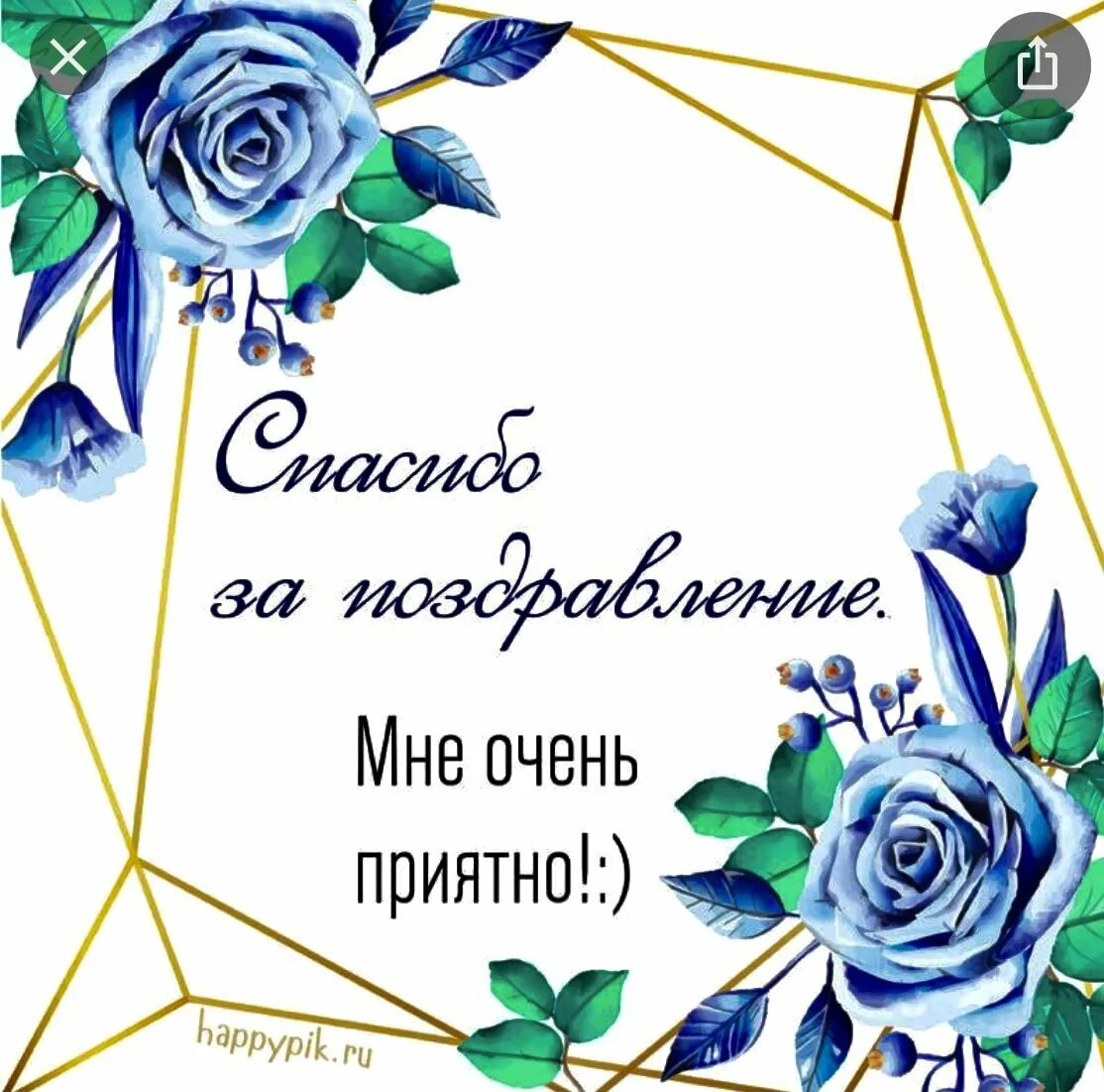 Огромное спасибо за пожелания. Спасибо за поздравления. Спасибки за поздравления. Спасибосза поздравления. Спасибоща поздравления.