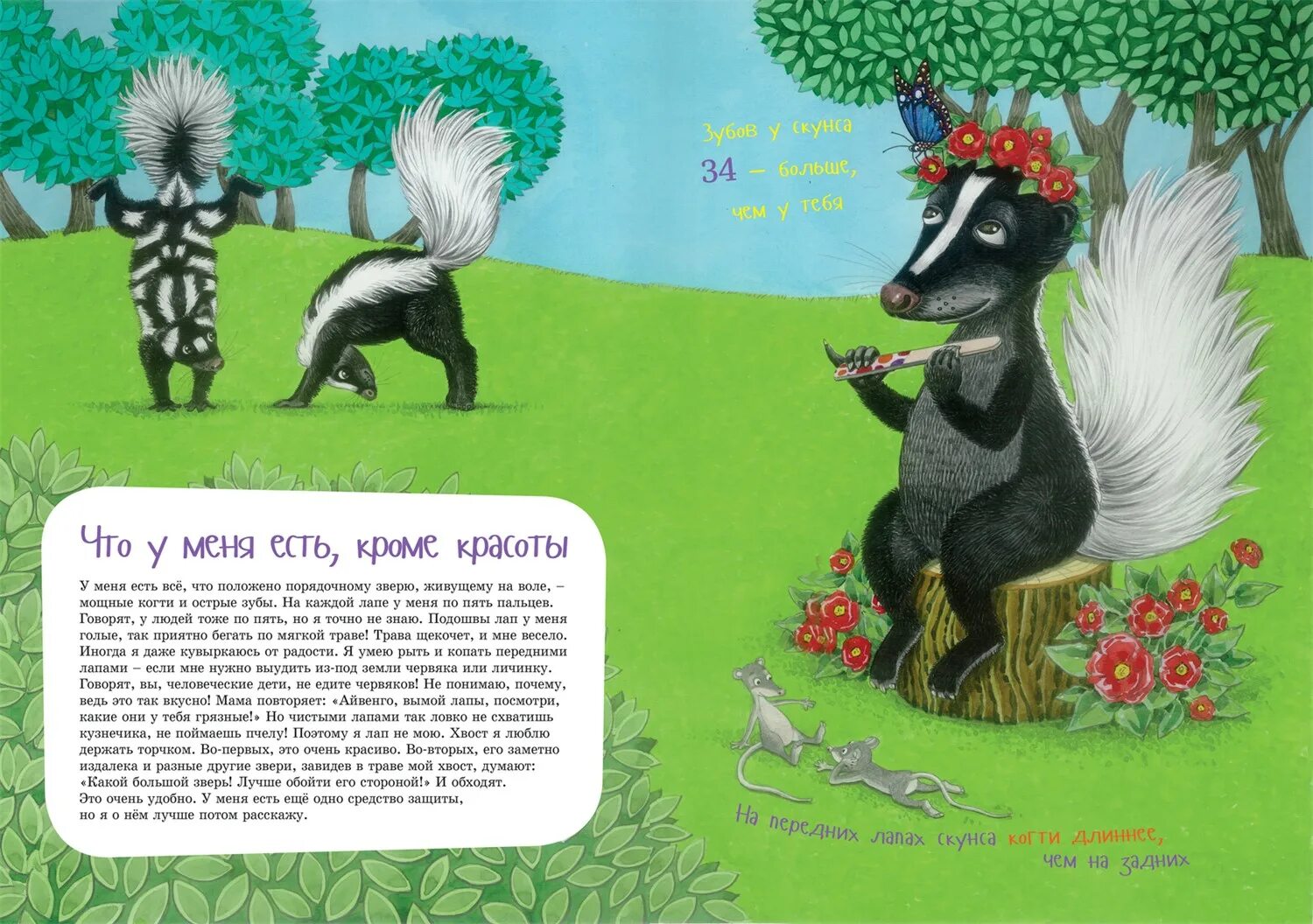 Книга скунс. Скунс раскраска. Скунс и барсук книга. Я скунс книга. Книжку где есть скунс.