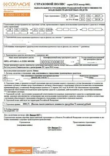 Страховой полис печать