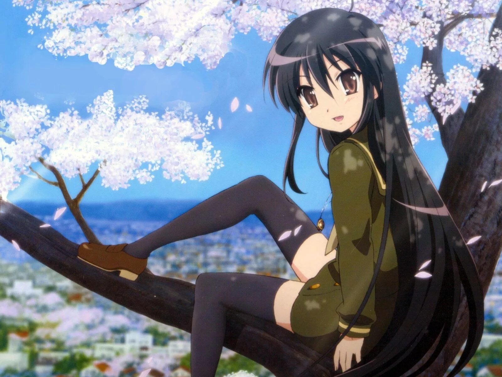 Шана фото. Shakugan no Shana. Шана аниме. Shakugan no Shana с чёрными волосами. Жгучий взор Шаны с чёрными волосами.