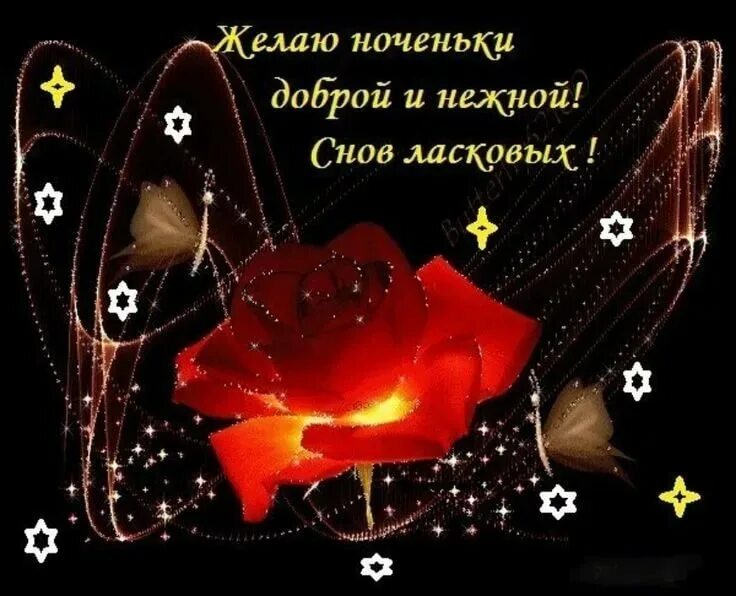 Открытки спокойной ночи с цветами. Добрых снов. Живые открытки спокойной ночи. Красивые пожелания доброй ночи. Открытки с пожеланиями спокойной ночи женщине мерцающие.