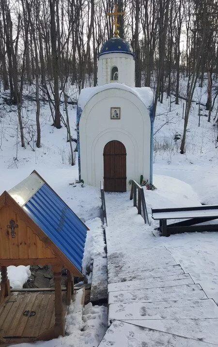 Владимирские родники. Святые источники Владимирской области. Святые источники Владимирской области с купелью. Святой источник Владимирская область Александровский район. Городище Золотая чаша у деревни ям.