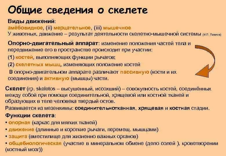 Общие сведения о скелете. Какой тканью образованы кости скелета. Конспект человек. Виды электронных лекций. Скелет участвует в минеральном обмене